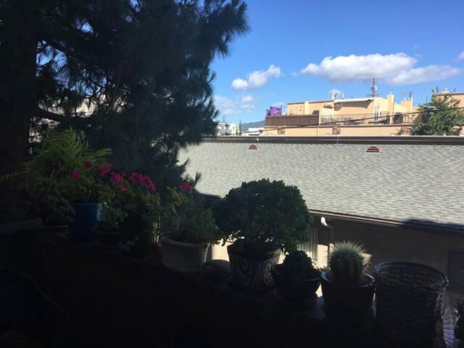 Spacious 2 Bedrooms. Prime Location Los Ángeles Exterior foto